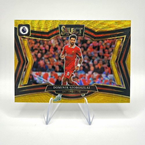 Panini 2024 select - select, premier