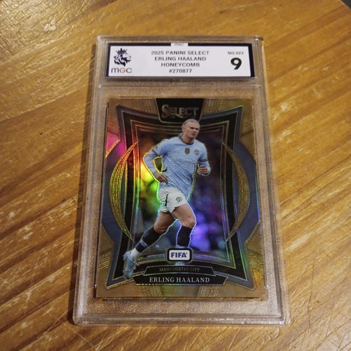 Erling haaland 2024 panini - haaland,