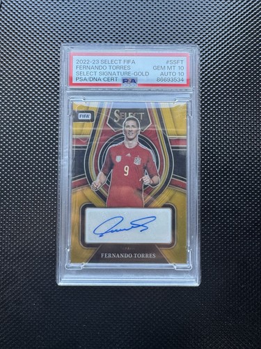 Fernando torres 2022 panini - fernando,