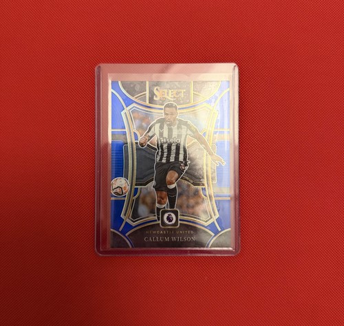 Panini select callum - select, wilson