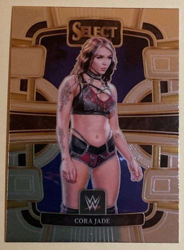 Wwe panini select - wwe, 2024