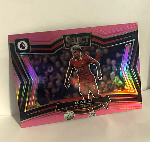 Panini 2024 luis - panini, 2024-25
