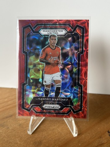 Lisandro martinez manchester - martinez,