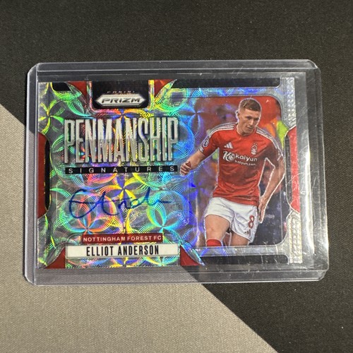 Elliot anderson 2024 panini - elliot,