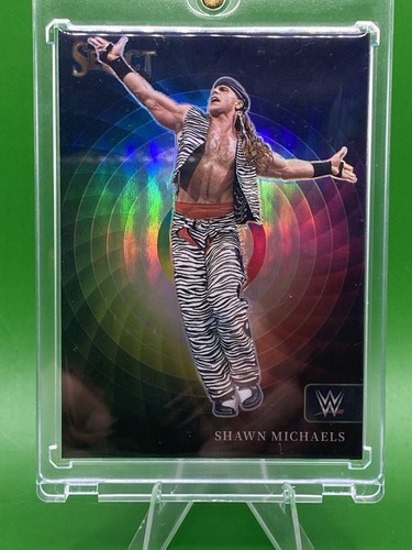 Shawn michaels 2023 panini - shawn,