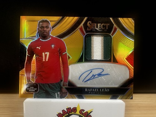 Panini select world - world, cup