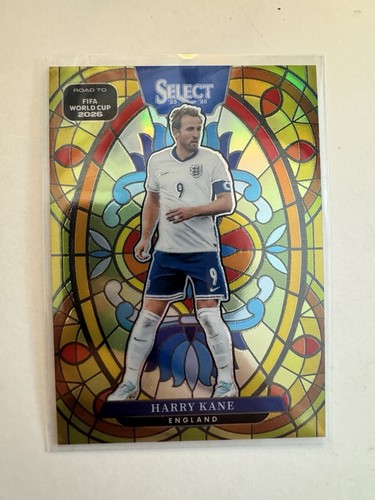 Panini select road fifa - panini,